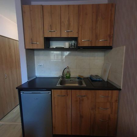 Mechka Ski Apartment بانسكو المظهر الخارجي الصورة