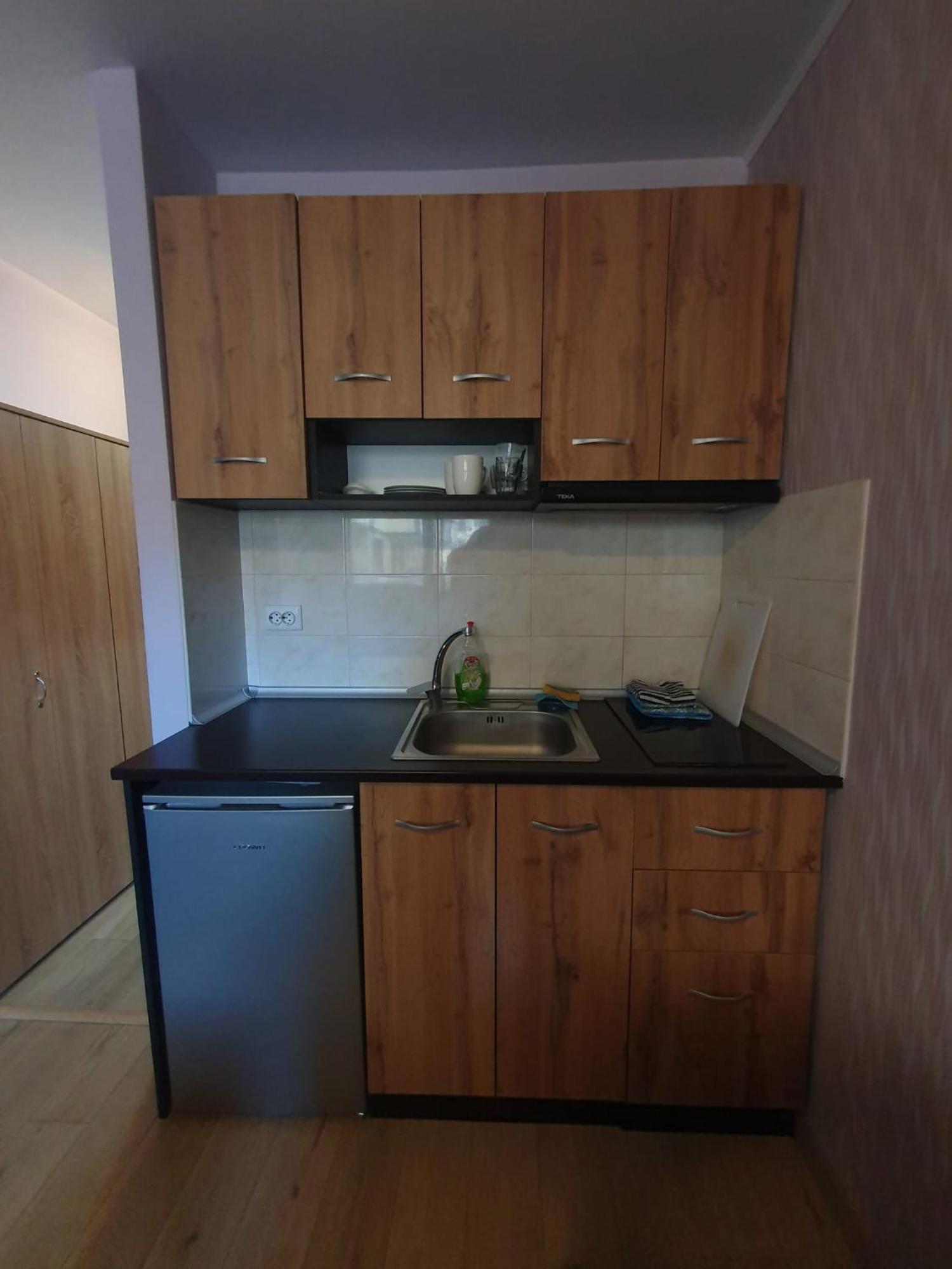 Mechka Ski Apartment بانسكو المظهر الخارجي الصورة